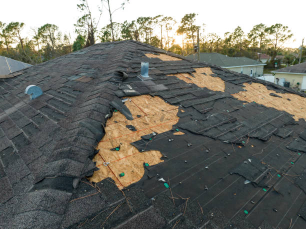 Best Skylight Installation and Repair  in Rossvle, IL